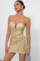 Bodycon Sequin Dress