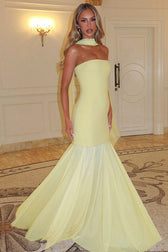 Sheer Mesh Dress