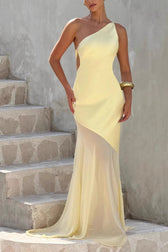 Backless Sheer Mesh Dress