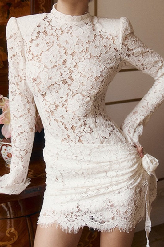 Lace Trim Cutout Long Sleeve Fit Mini Lace Dress