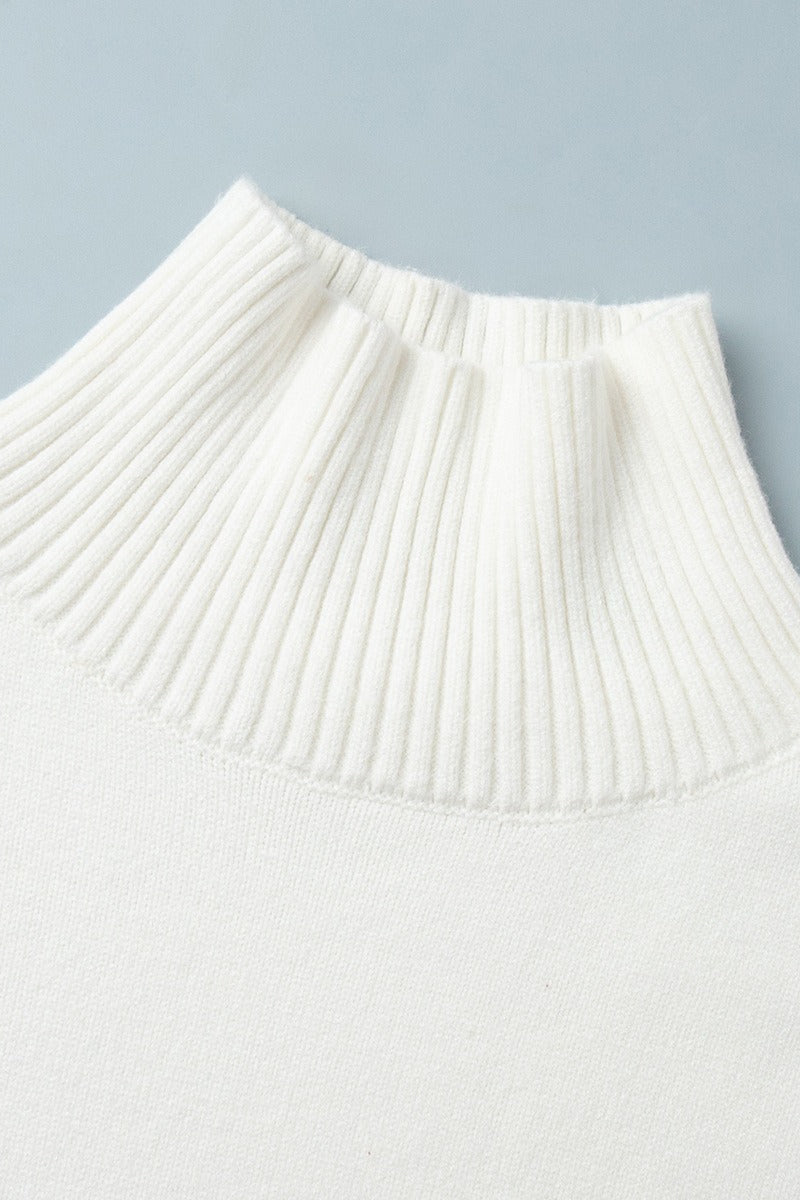 Turtleneck Knit Sweater