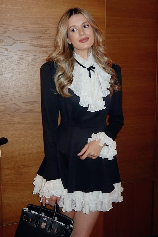 Ruffle High Neck Tie Bow Long Sleeve Fit and Flare Mini Dress