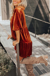 Boldly Me Velvet Short Sleeve A-Line Mini Dress - View 4