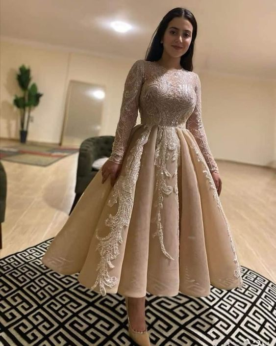 Charming A-line Long Sleeves Pleated Evening Dress cc1267