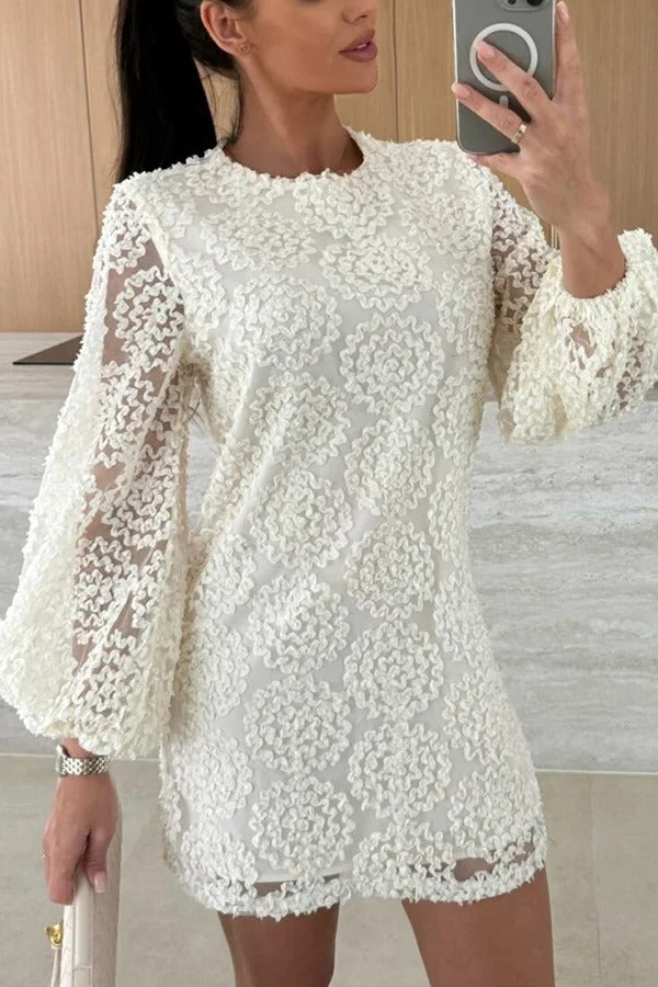 Textured Floral Lace Round Neck Sheer Balloon Sleeve Shift Mini Dress