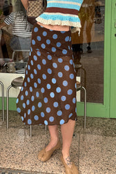 Polka Dot Color Block Sheer Midi Skirt