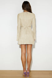 Horizons Elegant Meet Dress