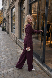 Casual V Neck Two Piece Blazer Pants Set