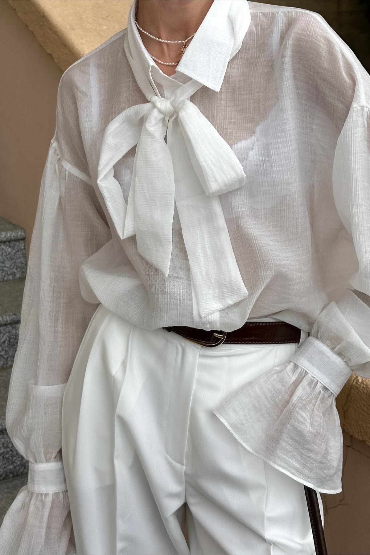 Bow Tie Sheer Blouse