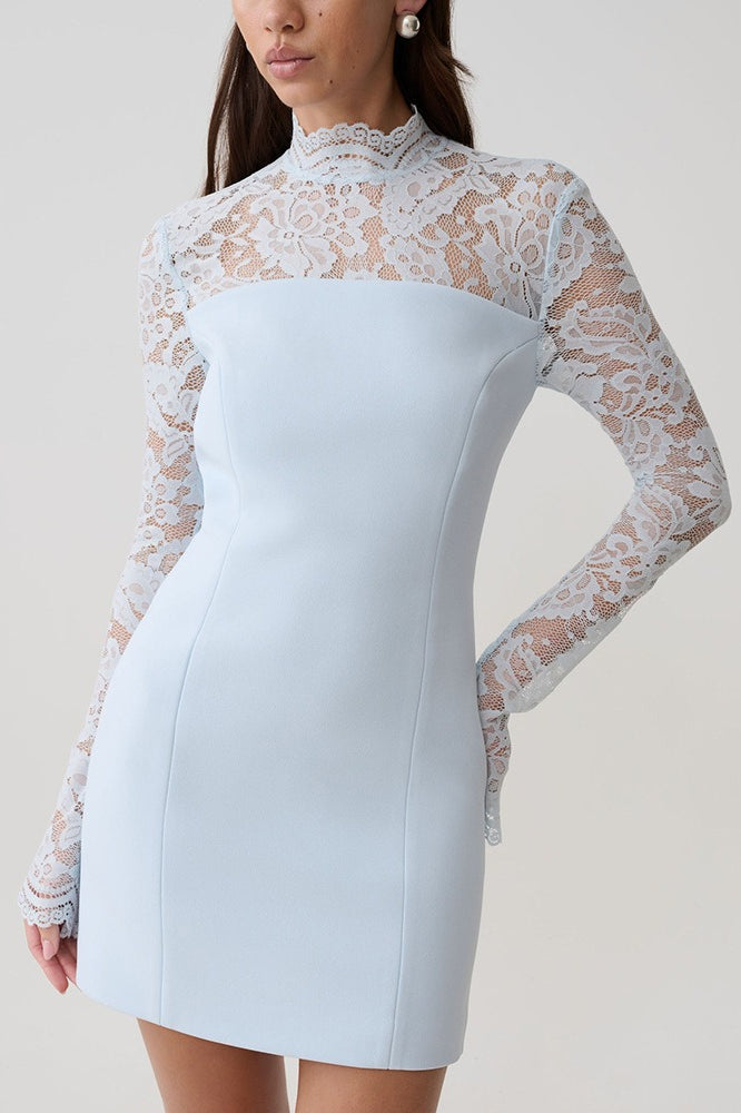 Strapless Lace Panel Sheer Backless Bodycon Lace Dress