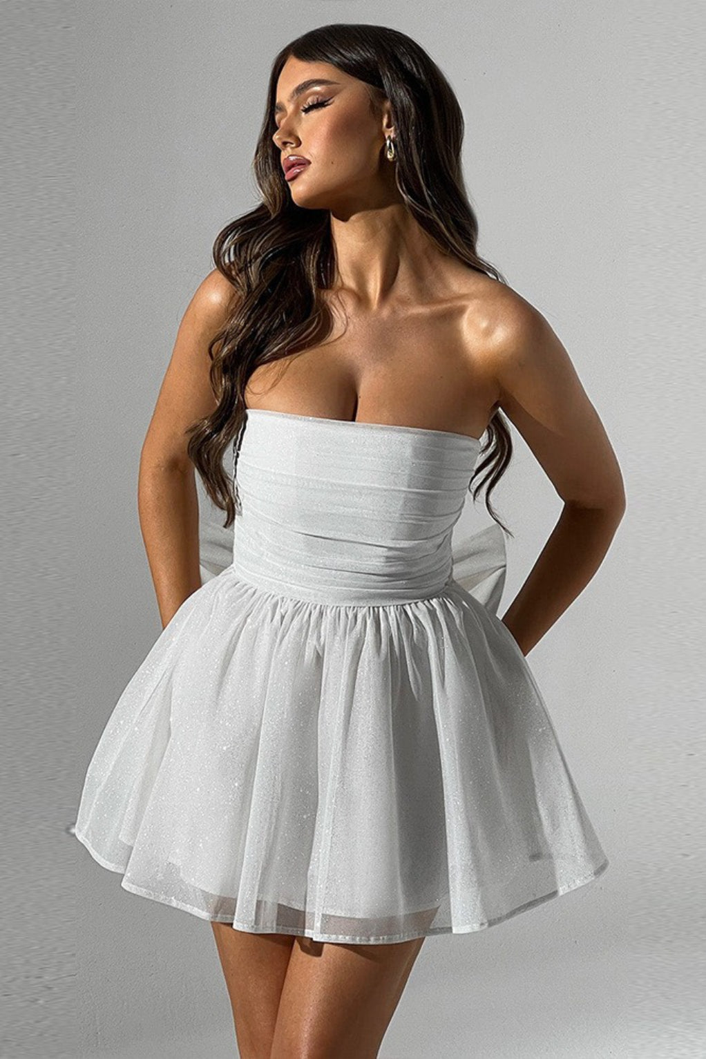 Backless Sheer Mesh Dress