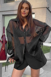 Sheer Puff Sleeve Collared Elegant Workwear Blouse