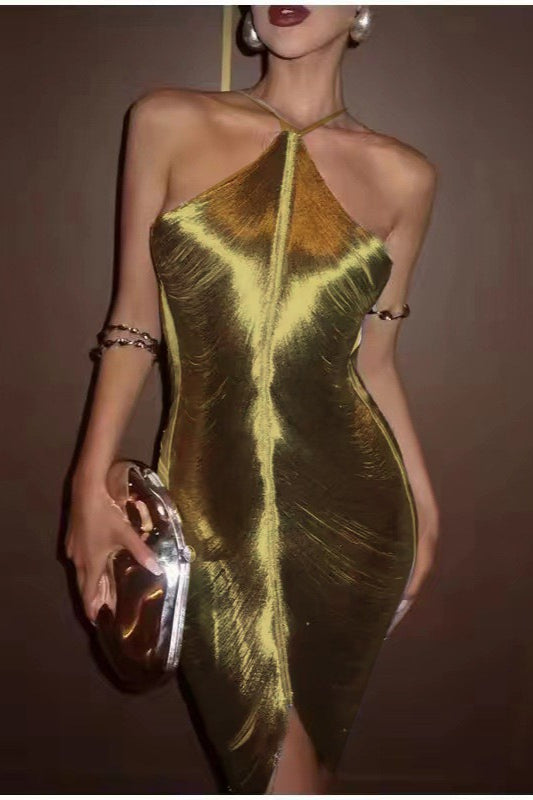 Chic Tassel Halter Backless Cocktail Dress 6