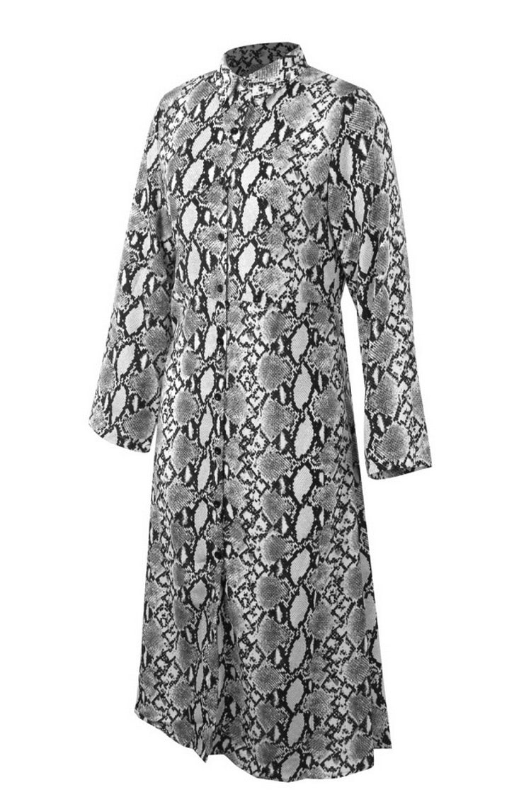 Long Sleeved Leopard Maxi Dress