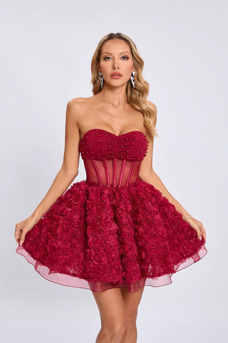 Sheer Mesh Mini Dress