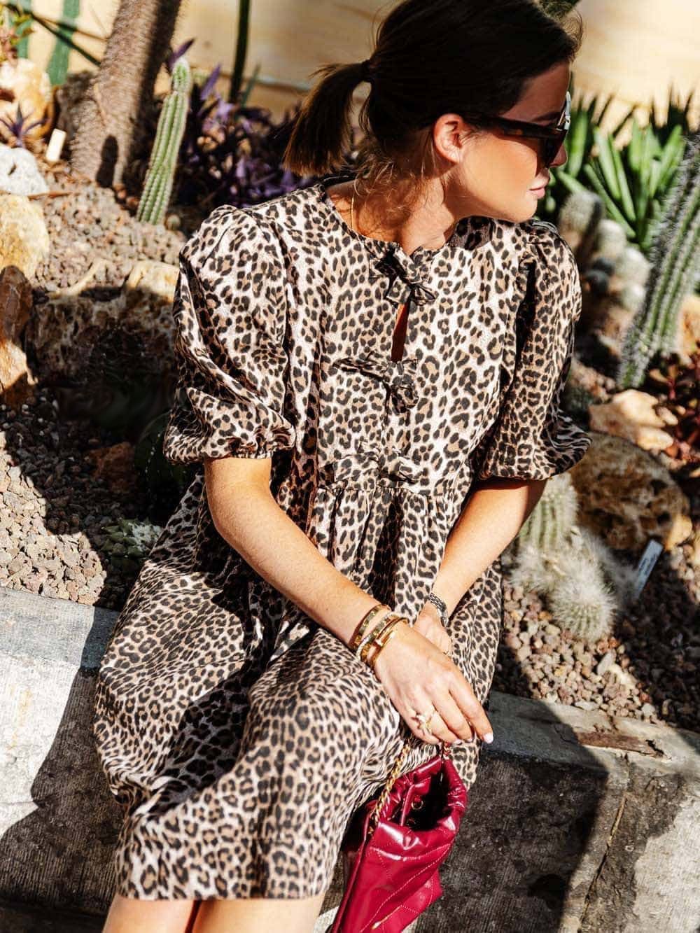 Alessandra Timeless Leopard Dress Everyday Luxe Edit