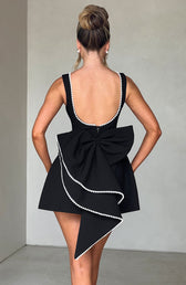 Sleeveless Bow Back Fit and Flare Mini Dress 6