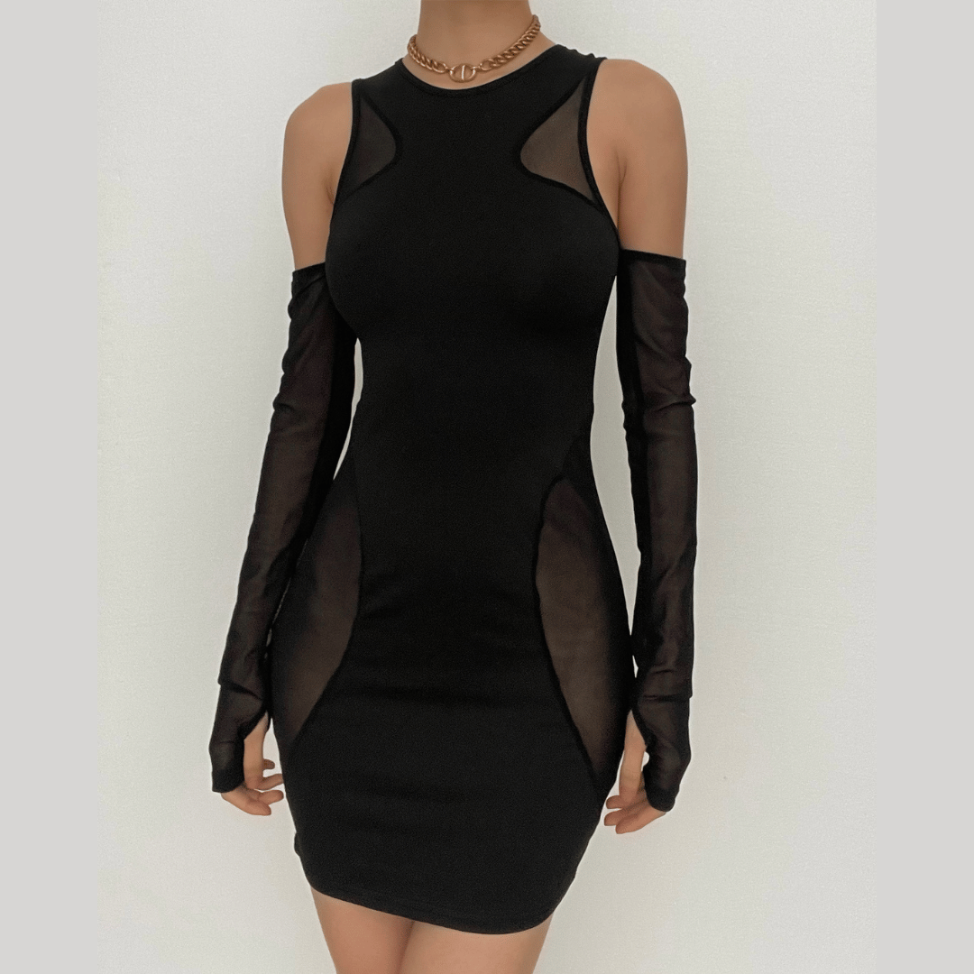 Crew Neck Sleeveless Mesh Panel Bodycon Mini Dress with Gloves
