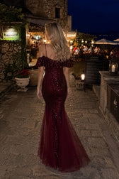 Off Shoulder Sequin Mesh Party Dress