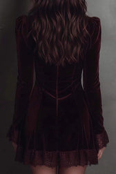 Velvet Lace Trim Mini Dress - View 5