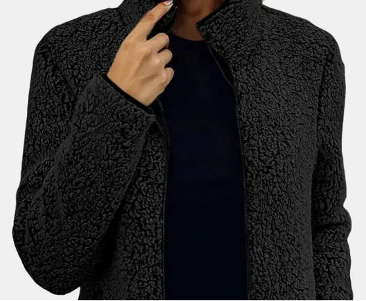 Zip Front Stand Collar Teddy Fleece Jacket