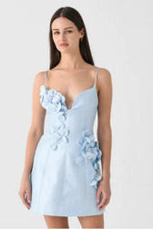 Backless Floral Mini Dress