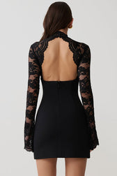 Strapless Lace Panel Sheer Backless Bodycon Lace Dress