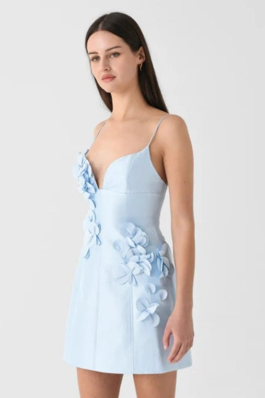 Backless Floral Mini Dress