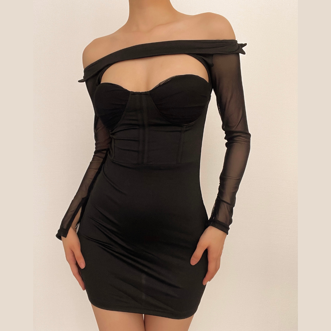 Off Shoulder Mesh Long Sleeve Cut Out Corset Bodycon Mini Dress