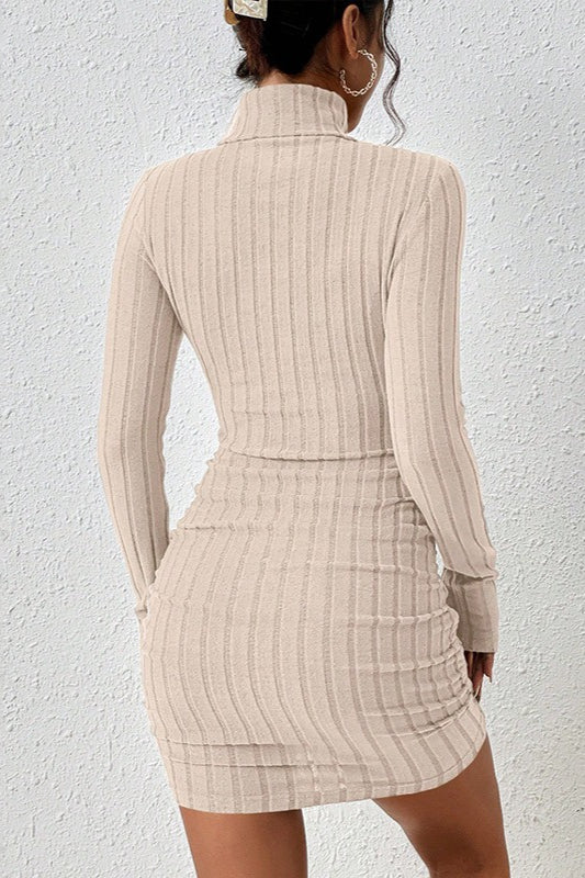 High Neck Slim Fit Knit Sweater Dress