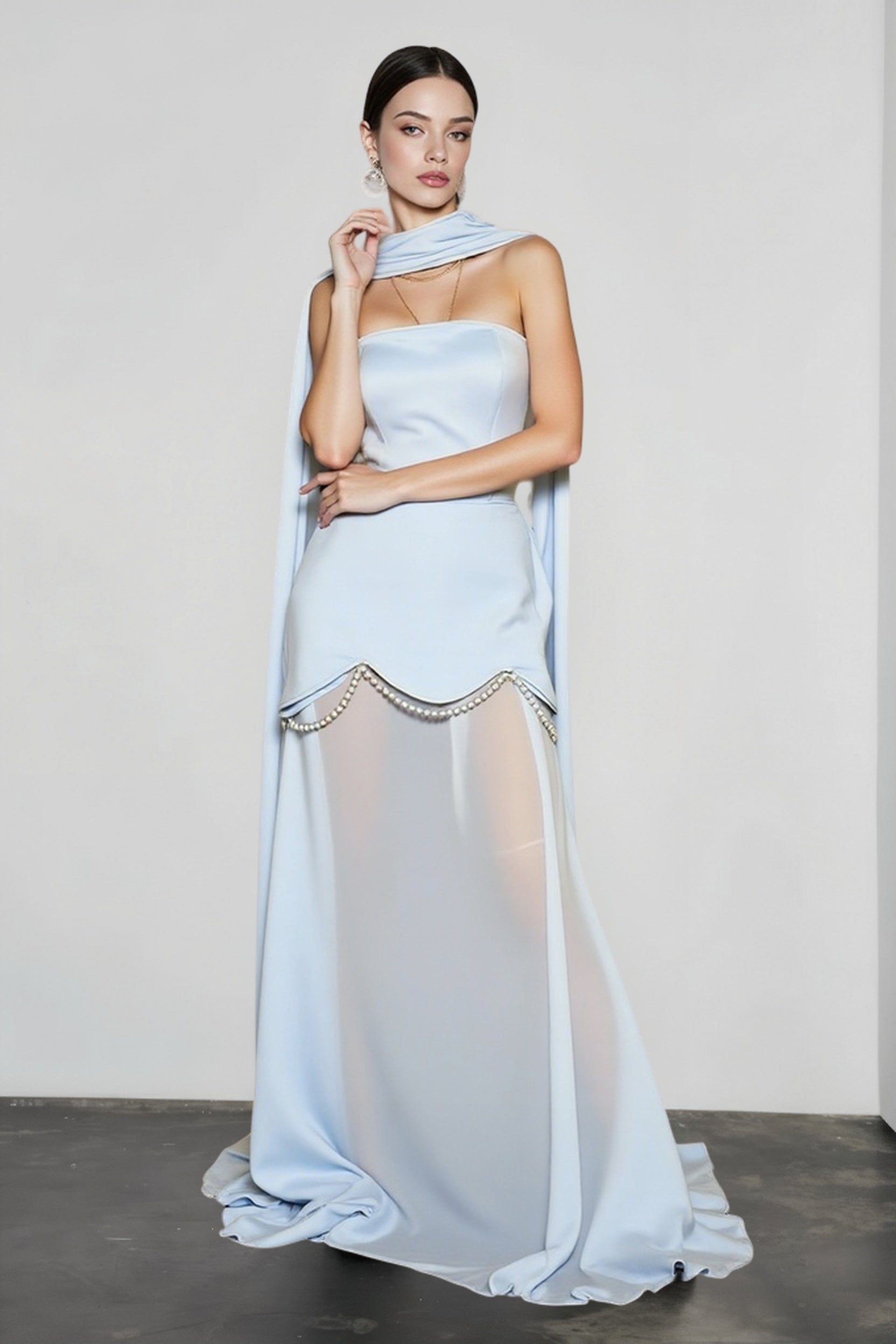 Sheer Mesh Dress