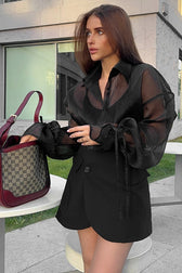 Sheer Puff Sleeve Collared Elegant Workwear Blouse