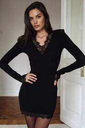 Elegant Lace V-Neck Long Sleeve Bodycon Lace Dress