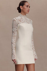 Strapless Lace Panel Sheer Backless Bodycon Lace Dress