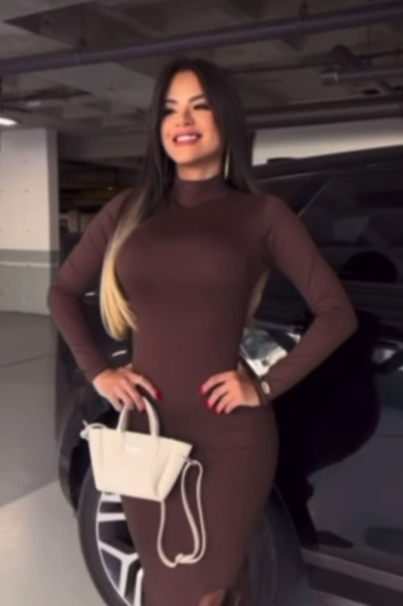 Elegant Stand Collar LongSleeve Work Dress