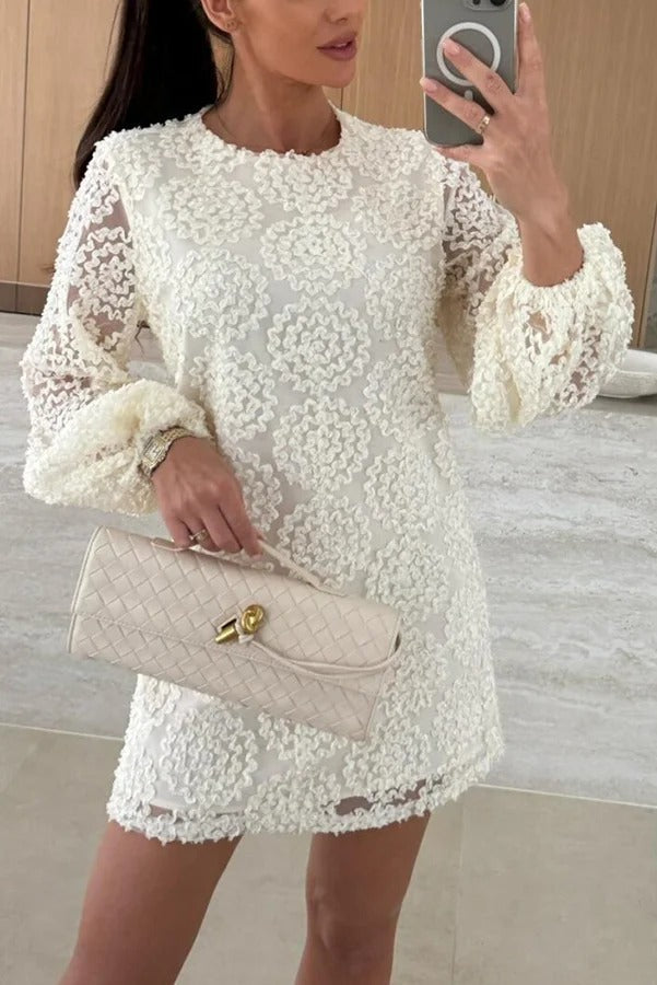 Textured Floral Lace Round Neck Sheer Balloon Sleeve Shift Mini Dress 3
