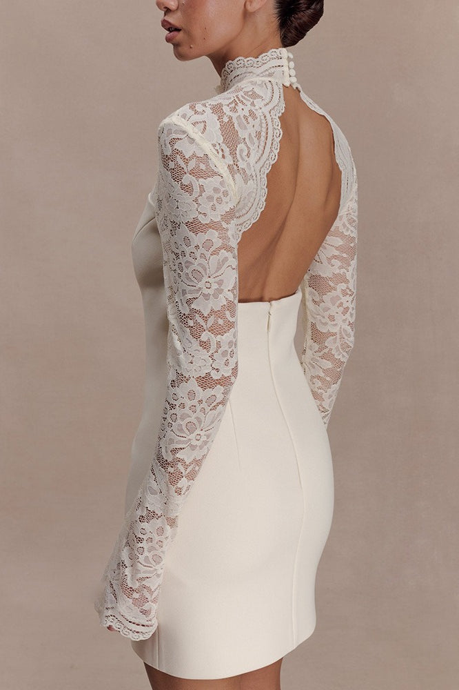 Strapless Lace Panel Sheer Backless Bodycon Lace Dress