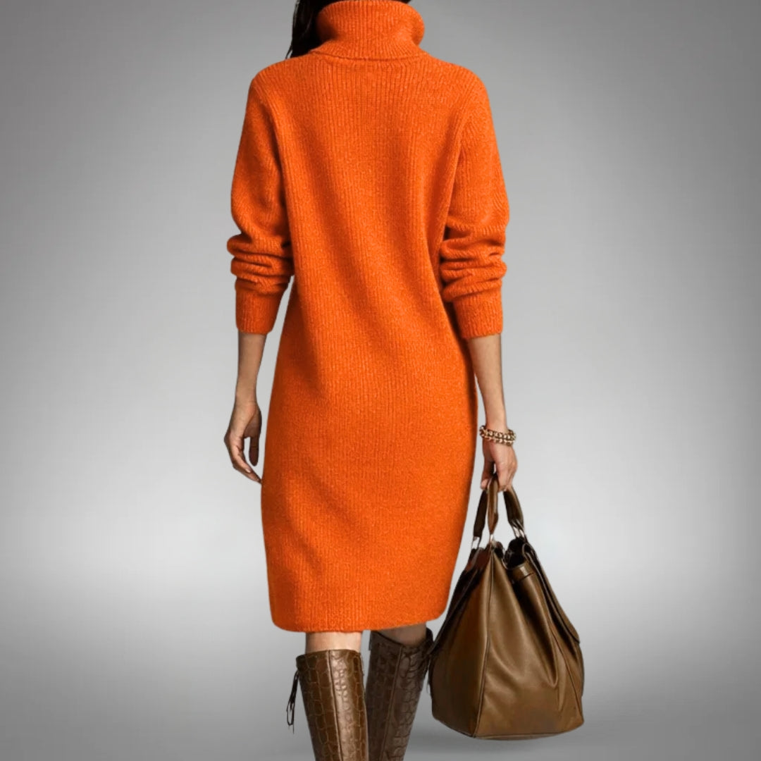 Turtleneck Long Sleeve Knit Midi Sweater Dress