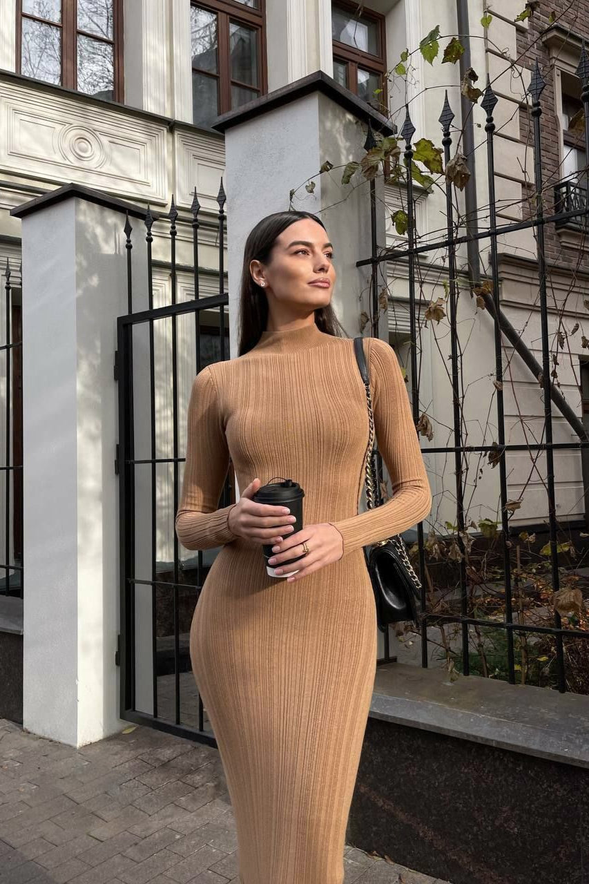 Turtleneck Striped Knit SlimFit Long Sleeve Sweater Dress