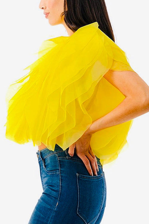 Ruffled Feathers Sleeveless Tulle Top