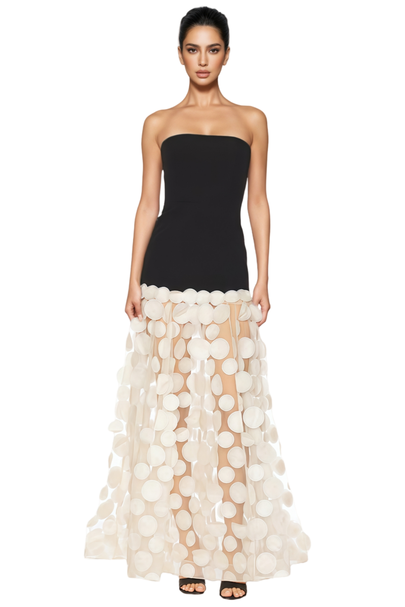 Strapless Drop Waist Polka Dot Applique Sheer Mesh Skirt Maxi Dress