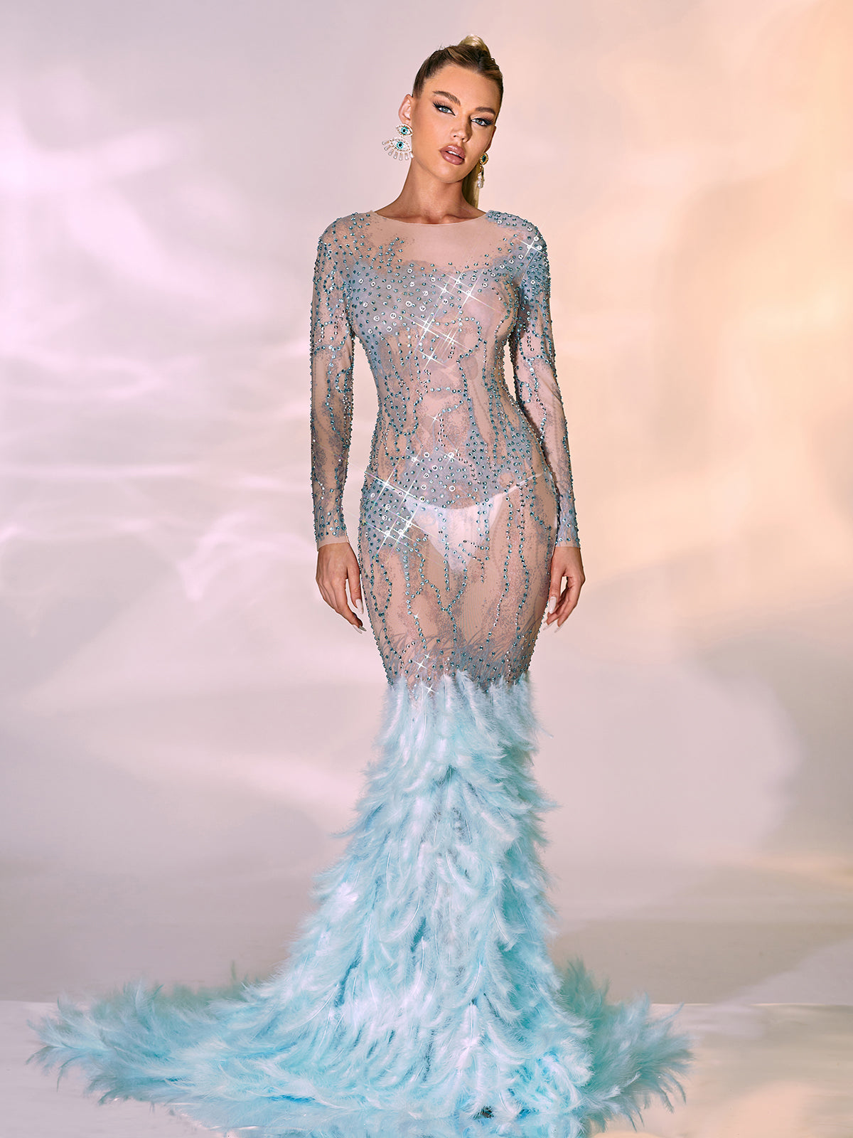 Briar Long Sleeve Rhinestone Feather Maxi Dress 4