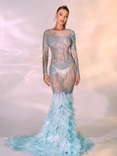 Briar Long Sleeve Rhinestone Feather Maxi Dress 4