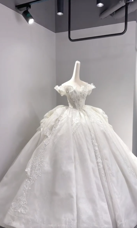 Timeless Ball Gown Off The Shoulder Tulle Lace Beaded Long Wedding Dresses C3989
