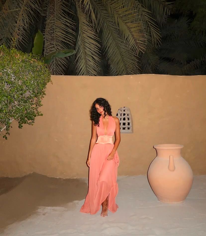 Chic A Line Halter Chiffon Long Prom Dresses Formal Dress C4848