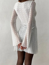 Mesh See Through Round Neck Mini Dresses 2