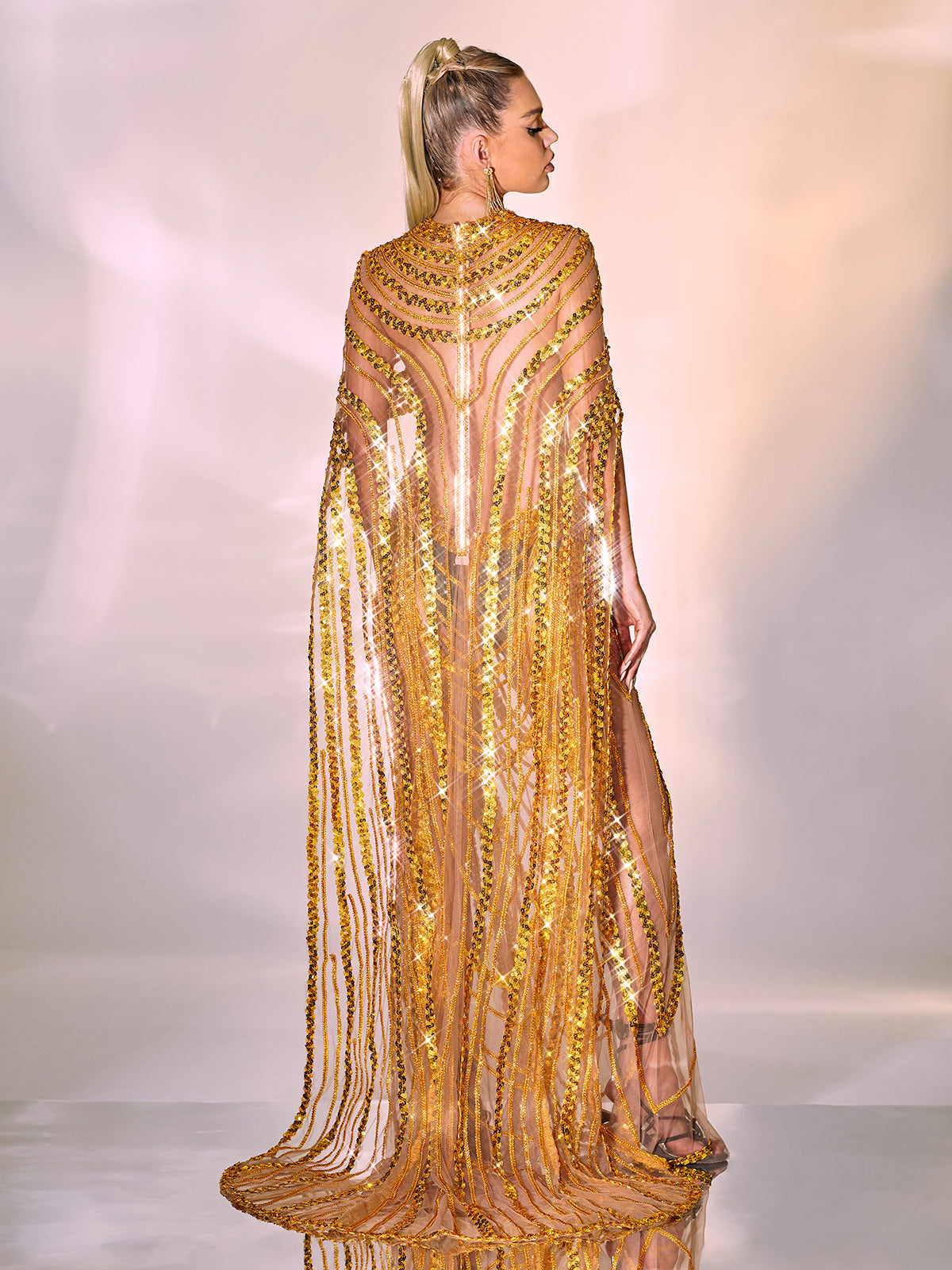 Chana Sequin Crystal Mesh Maxi Dress 5