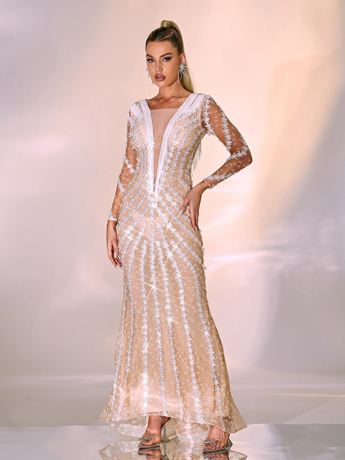 Danica Long Sleeve Embellished Maxi Dress 4