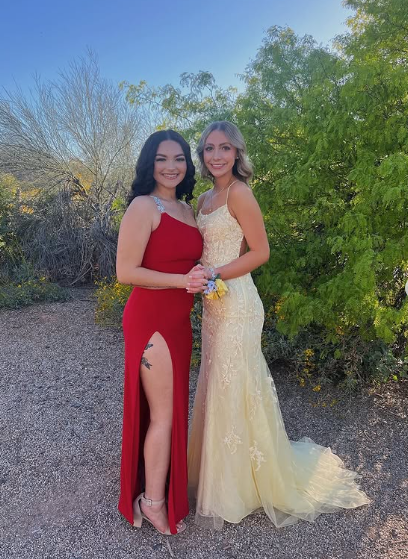 Sexy Yellow Lace/Tulle Long Prom Dresses,Evening Dresses,Winter Formal Dresses cc1372