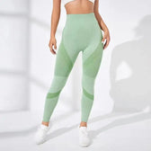 Waist Striped Mesh Fitness Outdoor Running Legging Green / S